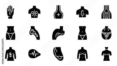 Human body icons medical illustrations of anatomy for educational purposes