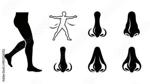 Human body silhouettes and anatomical nose illustrations on white