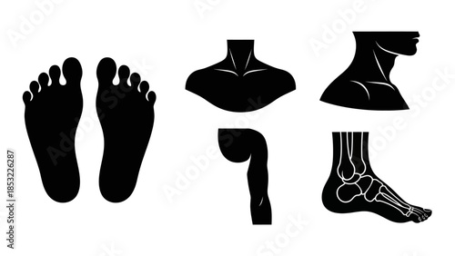 Human body parts silhouettes feet neck arm and anatomical foot