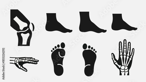 Human anatomy vector set bones foot hand and knee silhouettes