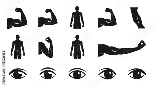 Human body silhouettes and anatomy elements for design and illustration