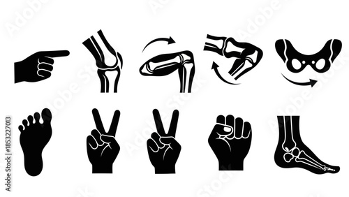 Human body parts silhouettes hands foot bones and joints displayed