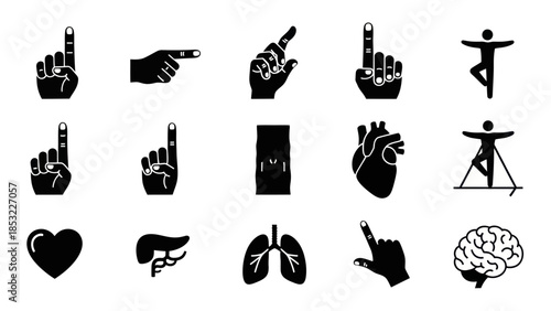 Human body organs and hand gestures graphic illustrations for education