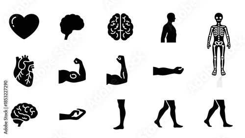 Human body parts silhouettes heart brain skeleton arm leg vector illustration