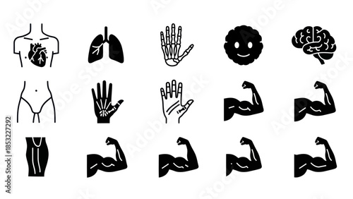 Human body parts silhouettes heart lungs brain and muscles
