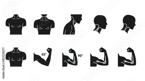 Human body silhouettes and poses depicting anatomical features