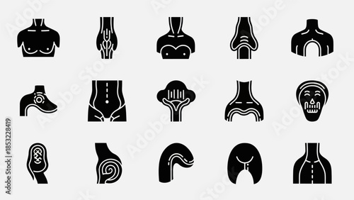 Human body parts silhouettes medical anatomy illustrations on white