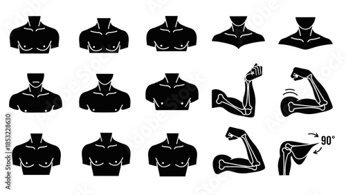 Human body silhouettes chest arms and shoulder anatomical illustrations