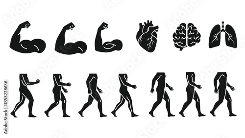Human body silhouettes arms organs walking figures health and fitness