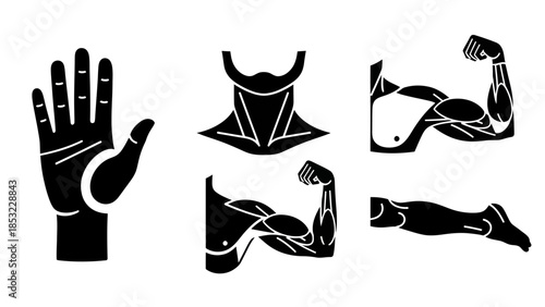 Human body parts silhouettes vector illustrations design concept