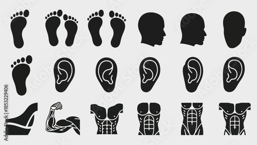 Human body parts silhouettes vector illustrations for health and education