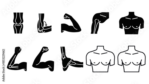 Human body parts silhouettes vector illustrations for medical educational uses