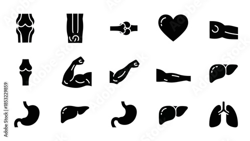 Human body parts vector icons medical anatomy illustrations