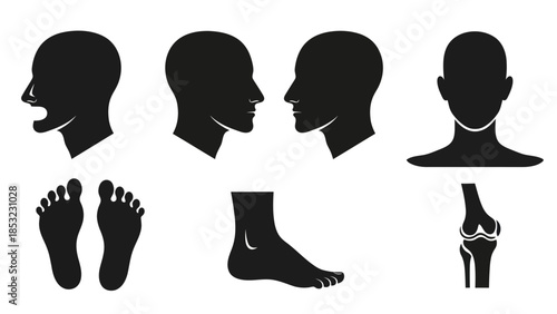 Human head foot and knee silhouettes anatomical illustrations