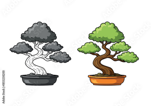 a comparison of two bonsai trees one vibrant and one monochrome high quality