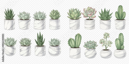 Set of various green succulents and cacti in elegant white marble pots, perfect for home decor.