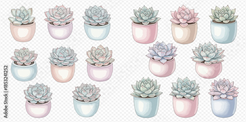 Collection of watercolor succulent plants in pastel colored pots on a transparent background.