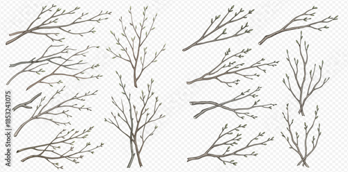 Set of hand-drawn tree branches with buds, representing spring awakening and new growth in nature.