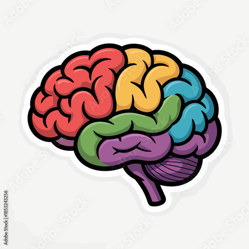Colorful Brain Illustration