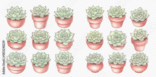Watercolor illustration of various succulent plants in terracotta pots on a transparent background.