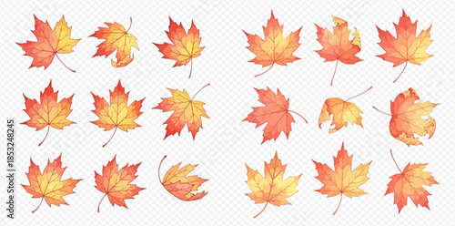 Vibrant watercolor maple leaves in various autumn colors and shapes, perfect for seasonal designs.