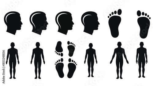 Human silhouette collection profiles footprints full body outlines
