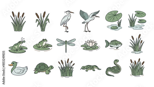 Illustrated wetland animals and plants collection in vector design