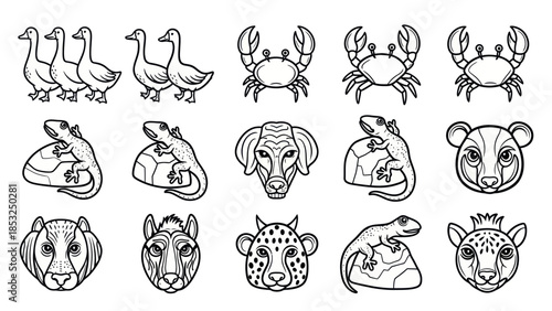 Line art animal collection geese crabs lizards dog panda cheetah