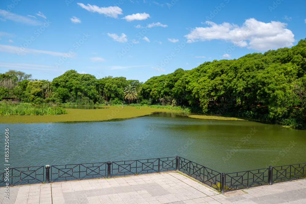 Fototapeta premium View of Costanera Sur Reserve - Buenos Aires, Argentina