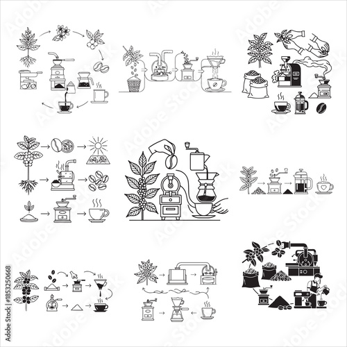 Coffee Education Infographic Bean To Cup Black Vector