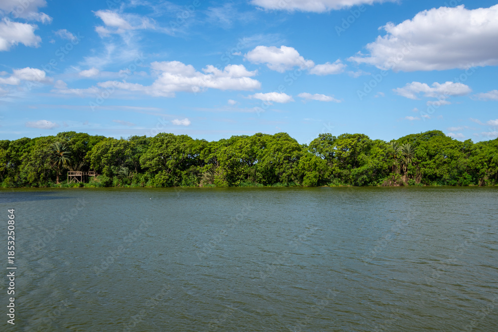 Obraz premium View of Costanera Sur Reserve - Buenos Aires, Argentina