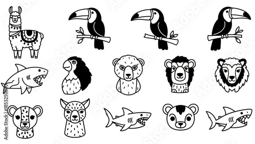 Line art animals collection llama toucan shark bear and lion illustrations