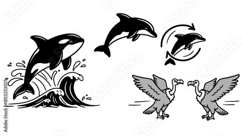 Orca and dolphin illustrations with vulture designs in graphic style