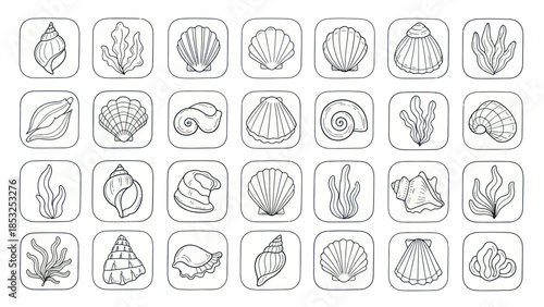 Line art seashell and seaweed icons in square frames for various applications