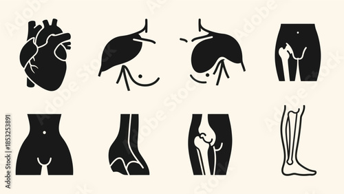 Medical illustrations of human organs and body parts in a minimalist style