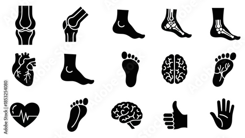 Medical anatomy icons human bones organs and body parts in silhouette