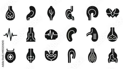 Medical anatomy icons human organs and body systems in black and white