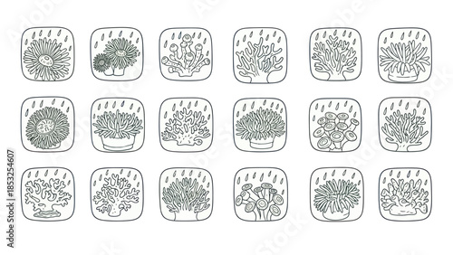 Stylized coral reef icons in square frames for various design applications