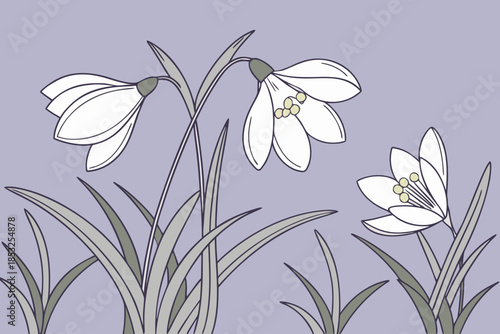 Snowdrop Flowers Illustration in Soft Pastel Style