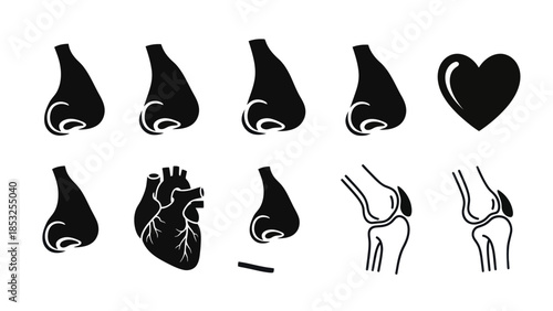 Medical anatomy silhouettes of nose heart knees and health symbol