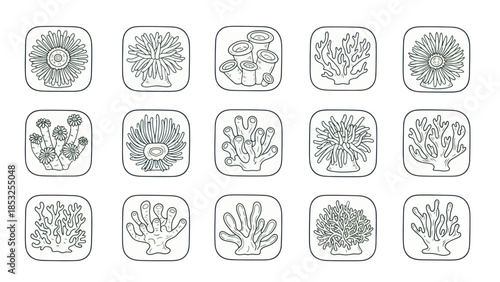 Stylized coral reef vector illustrations in square frames for design