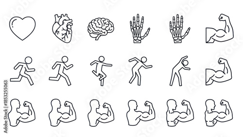 Medical and fitness icons human body organs exercise and muscle illustrations