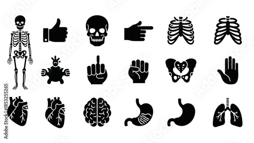Medical human anatomy icons skeleton organs gestures isolated black silhouettes