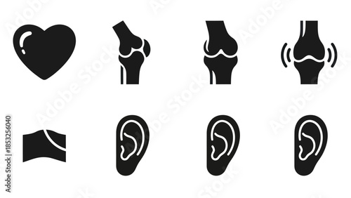 Medical icons heart bones joints ear and skin illustrations