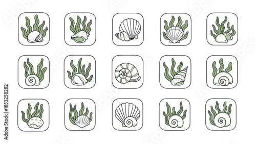 Shells and seaweed icons set in square frames for design and concepts