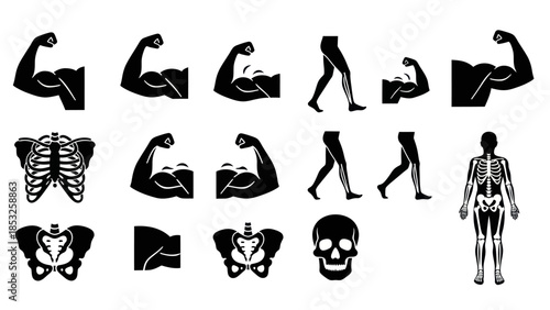 Set of various animal line art icons for design and illustration