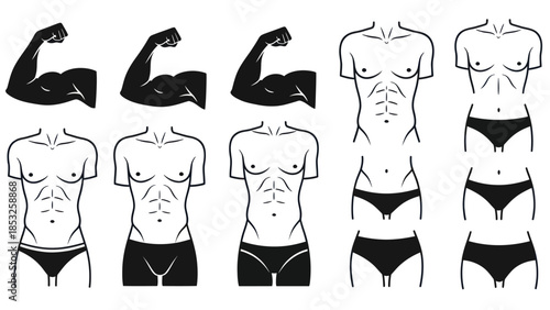 Muscular arm and torso silhouettes for fitness and bodybuilding concepts