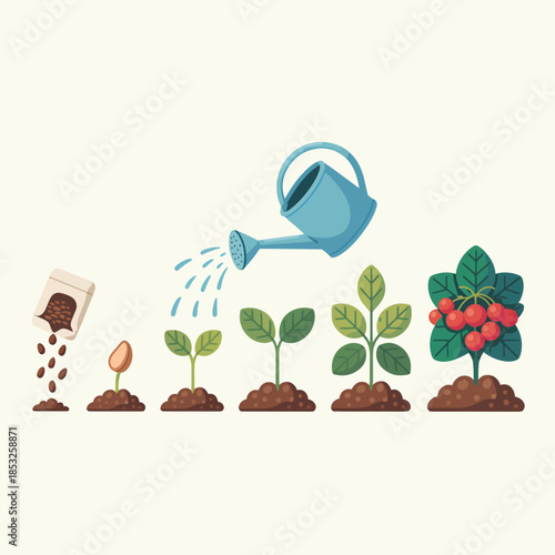 Plant Growth Stages with Watering Can on White Background