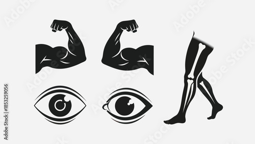 Muscular arms eyes and legs silhouettes body parts vector illustrations