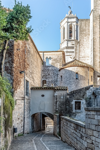 View from narrow Carrer del Bisbe Josep Cartana toward the Episcopal Palace and archway to Plaza de la Catedral, showing Romanesque stone walls, apses, and climbing plants. Girona, Spain